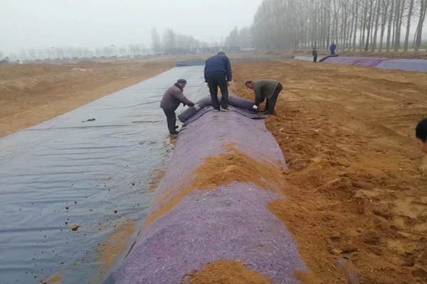 香蕉网视频在线观看在雨季铺设的注意事项