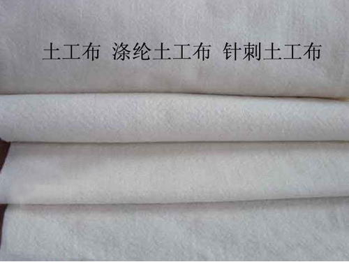 涤沦香蕉网视频在线观看