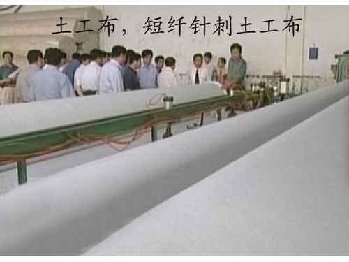 短刺香蕉网视频在线观看